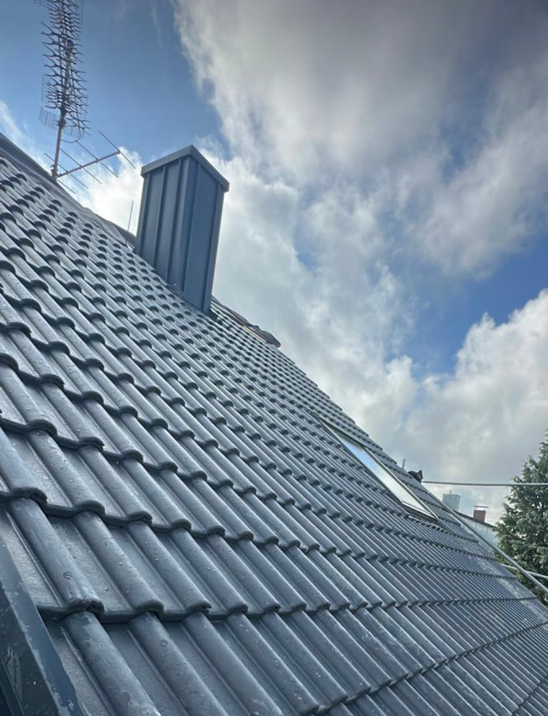 EINFAMILIENHAUS STEILDACH